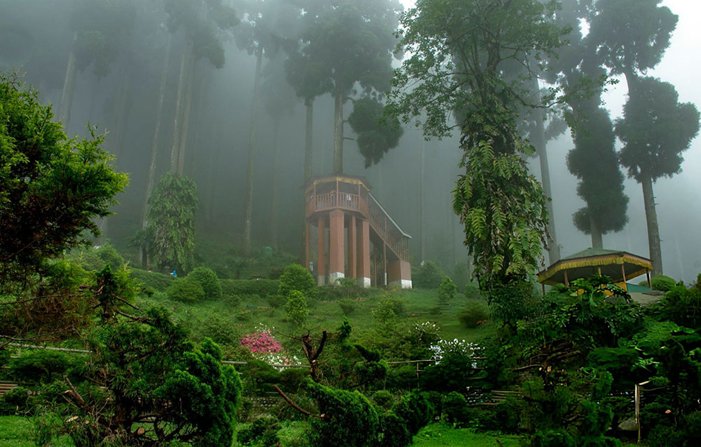 Lamahatta, Darjeeling