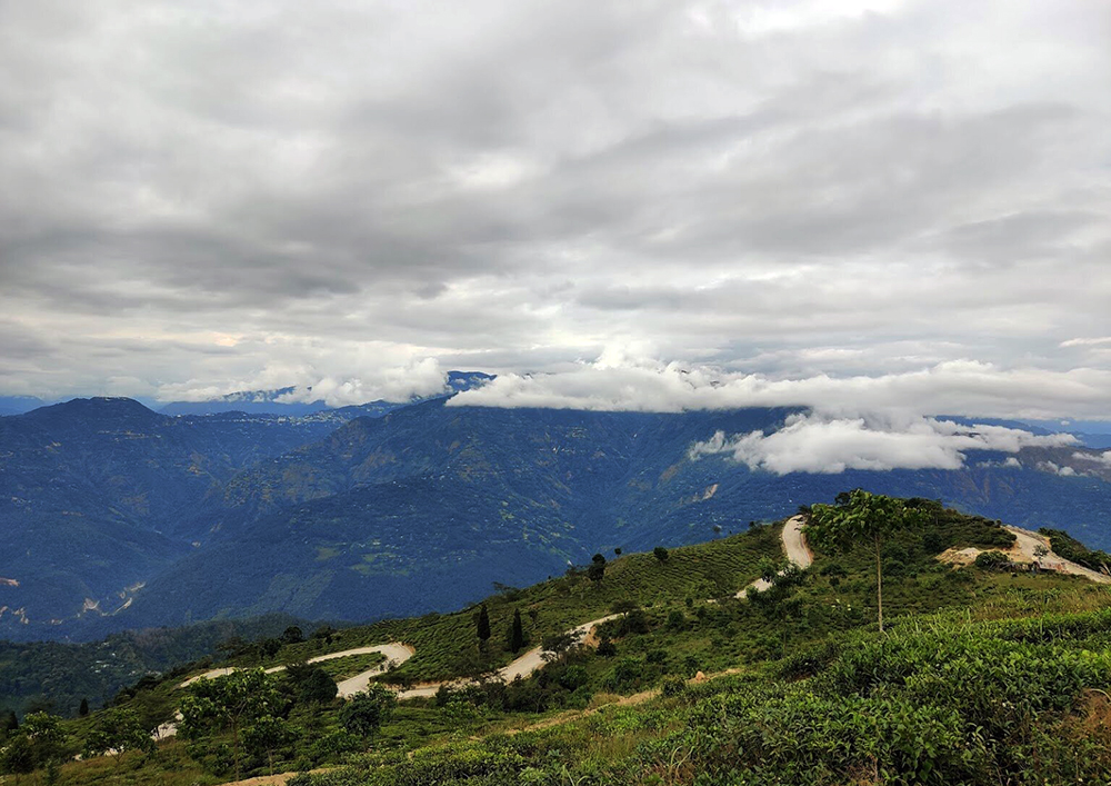 Takdah, Tinchuley, Darjeeling